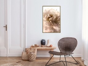 Artgeist Plagát - Soft Petals [Poster] Veľkosť: 40x60, Verzia: Čierny rám