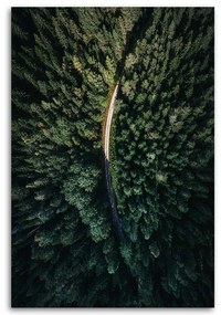 Gario Obraz na plátne Pohľad na les z vtáčej perspektívy - Nikita Abakumov Rozmery: 40 x 60 cm