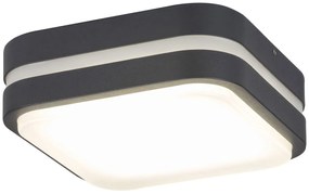 RABALUX Vonkajšie LED nástenné svietidlo HAMBURG, 10W, denná biela, antracitové, IP44