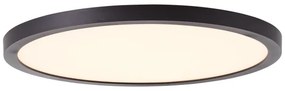 Brilliant - LED Stropné svietidlo TUCO LED/16W/230V pr. 25 cm čierne