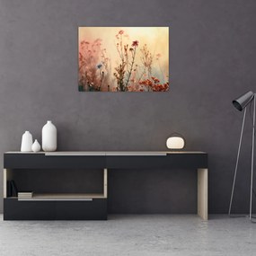 Sklenený obraz - Divoké kvety (70x50 cm)