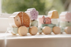 Vláčik drevený ježko Fairy Garden