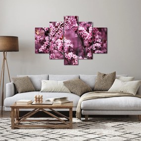 Obraz - Ružová sakura (150x105 cm)