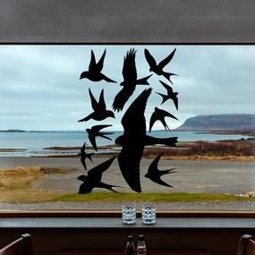 Veselá Stena Samolepka Vtáci Farba: čierna, Veľkosť: 100 x 70 cm