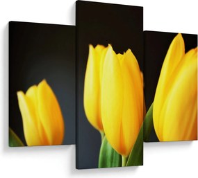 Obraz tulipánov (90x60 cm)