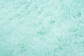 TA Koberec MINT MINT SILK