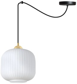 Závesné svietidlo Riffle Spider 2, 1x biele sklenené tienidlo, b/g