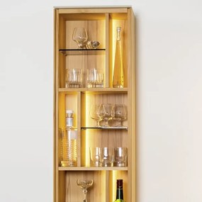 Eglo 32733 - LED RGB pásik 5m STRIPE-C LED/19W/230V