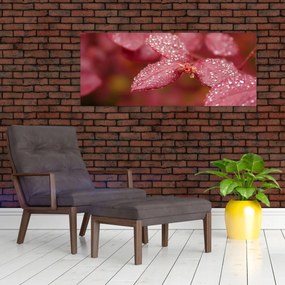 Obraz - Makro snímka lístka (120x50 cm)