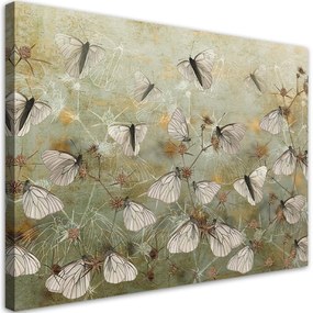 Obraz na plátně, Abstraktní motýli na louce - 100x70 cm