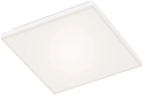Briloner 7378216 - LED Stmievateľný panel LED/38W/230V 3000-6500K + DO
