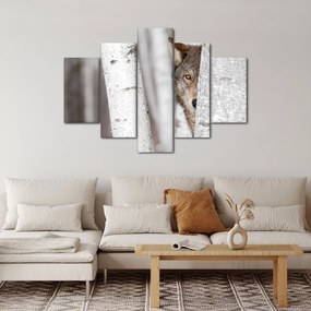Obraz - Vlk (150x105 cm)