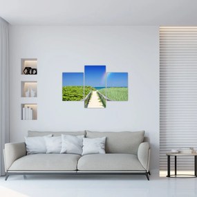 Obraz - Krajina a dúha (90x60 cm)