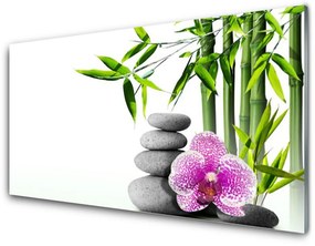 Obraz plexi Bambus kamene zen umenie 100x50 cm