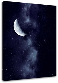 Gario Obraz na plátne Hviezdna obloha - Dmitry Belov Rozmery: 40 x 60 cm