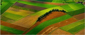 Obraz - Polia, lúky (120x50 cm)