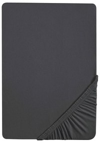 Biberna Napínacia džersejová plachta (titánová, 180 – 200 x 200 cm)  (100227068)