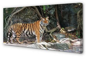 Obraz na plátne tiger džungle 140x70 cm