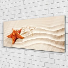 Obraz plexi Hviezdice na piesku pláž 125x50 cm