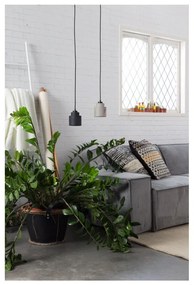 Sivé stropné svietidlo Zuiver Pendant