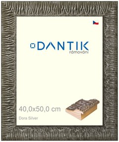 DANTIK rám na obraz 40x50 | Dora Silver (Sklo Čiré)