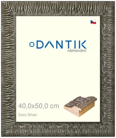 DANTIK rám na obraz 40x50 | Dora Silver (Sklo Čiré)
