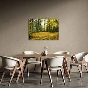 Obraz - les v jeseni (70x50 cm)