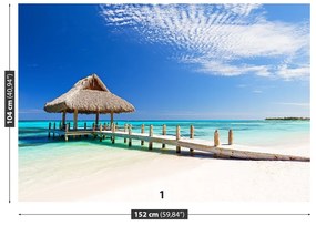 Fototapeta Vliesová Biela pláž 104x70 cm