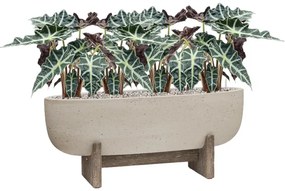 Cement with feet Shelby M beige washed 75x24x32 cm