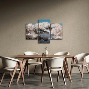 Obraz - Rozkvitnuté stromy v Ázii (90x60 cm)
