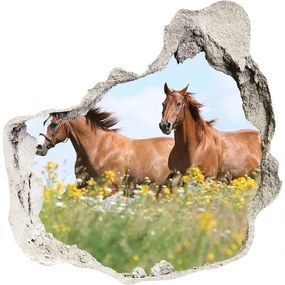 Diera 3D fototapety nálepka Dva kone v kluse nd-p-71484450