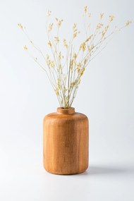 Trovelumi