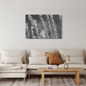 Obraz - Mrazivá zima (90x60 cm)