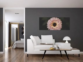 Obraz oranžovej kvetiny (120x50 cm)