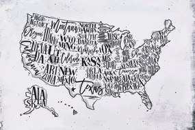 Tapeta šedá mapa USA s jednotlivými štátmi - 300x200