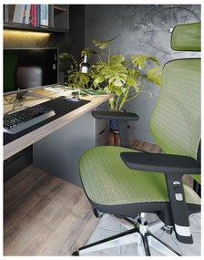 Diablo Chairs - Ergonomické kreslo Diablo V-Basic: čierno-zelená