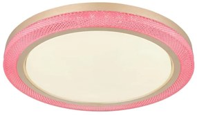 Globo 41372-24 - LED RGBW Stmievateľné stropné svietidlo BOLLY LED/20W/230V + DO