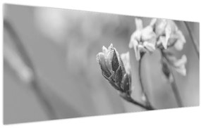 Obraz - Rozkvitnutý kvet (120x50 cm)