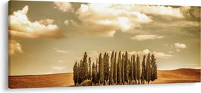 Obraz čistinky (120x50 cm)