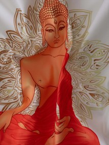 Obliečka na vankúš mikroplyš 45 × 45 cm - Buddha 8 L02