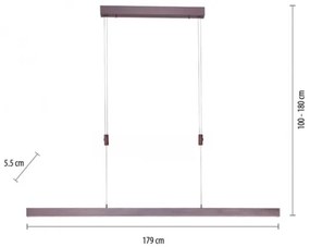 Paul Neuhaus 2568-24 - LED Stmievateľný luster na lanku ADRIANA LED/14W/230V