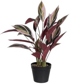 Umelá rastlina (výška 55 cm) Bird of Paradise – Ixia