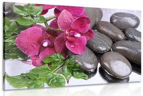 Obraz kvitnúca orchidea a wellness kamene - 90x60