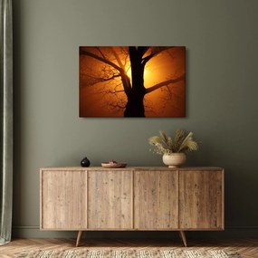 Obraz stromu pri západe slnka (90x60 cm)