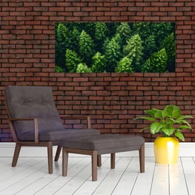 Obraz - Les (120x50 cm)