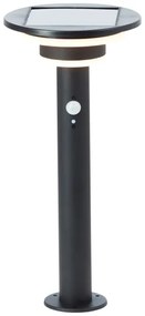 Brilliant - LED Solárna lampa so senzorom GARVINA LED/3W/3,7V 45 cm IP44 čierna