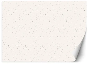 Gario Fototapeta Scandi trojuholníky Materiál: Vliesová, Rozmery: 250 x 175 cm