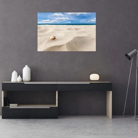 Obraz - Mušle na pláži (90x60 cm)