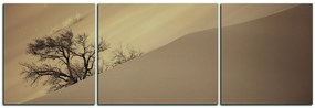 Obraz na plátne - Červené piesočné duny - panoráma 5133FC (150x50 cm)