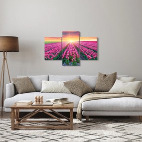 Obraz poľa tulipánov so slnkom (90x60 cm)